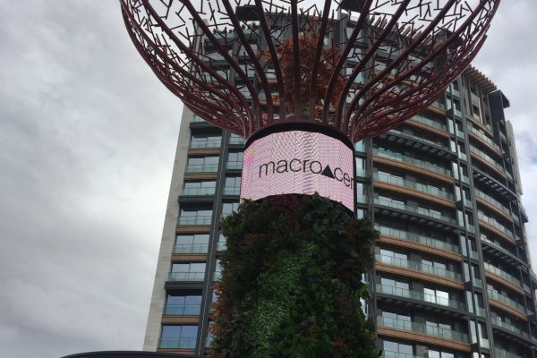 6a5c9ecc-f185-48a1-ae09-a115cf81cf9c